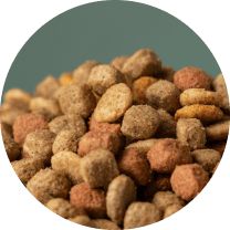 Aliments pour le bétail et animaux de compagnie