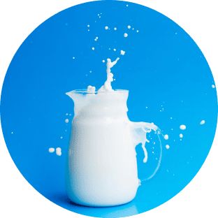 Lait-produits-laitiers-01